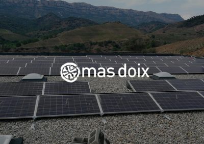 Construcció celler Mas Doix i instal·lació de camps solar